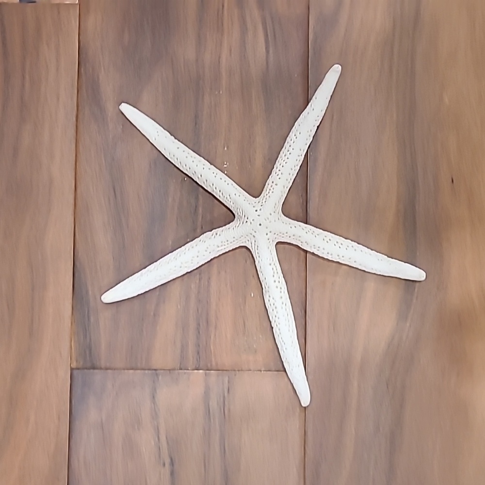 Star fish